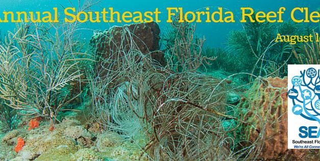6th Annual Southeast Florida Reef Cleanup
