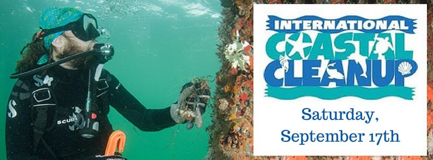 2016 International Coastal Cleanup