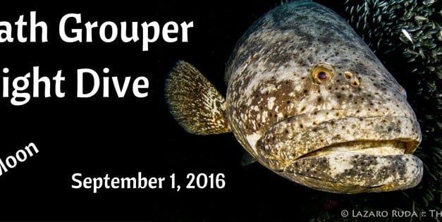 1-Tank Goliath Grouper New Moon Night Dive
