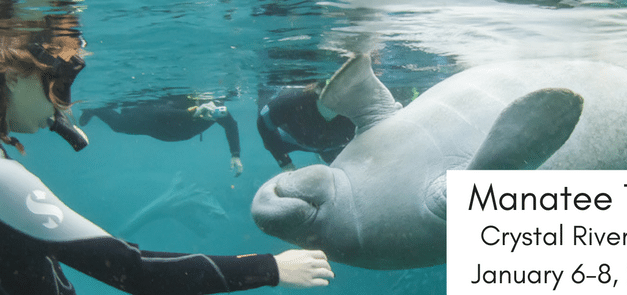 2017 Manatee Trip: January 6th-8th