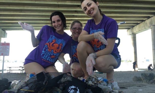 Blue Heron Bridge Cleanup: December 17