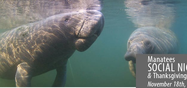 2016 Social Night: Manatee Presentation & Thanksgiving Feast