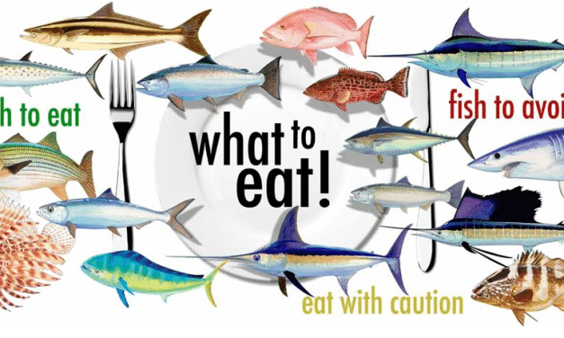 Feb 10 Social Night: Choosing Sustainable Seafood