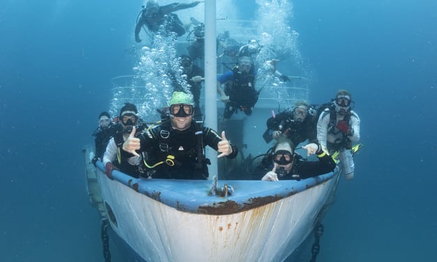 2017 Events & Socials