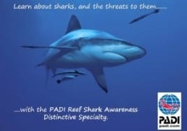 Shark Awareness Specialty