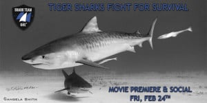 Shark Team One - Page Banner