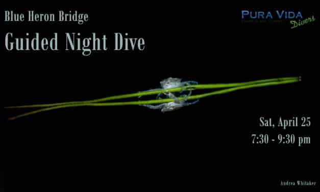 APRIL 25: NIGHT DIVE AT BLUE HERON BRIDGE