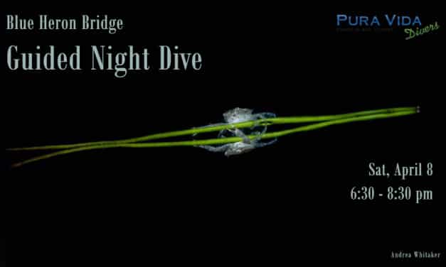 APRIL 8: NIGHT DIVE AT BLUE HERON BRIDGE