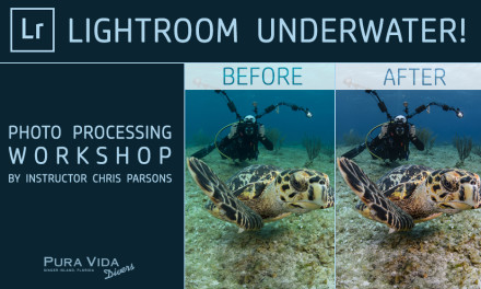 LIGHTROOM UNDERWATER – PHOTO PROCESSING WORKSHOPS