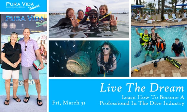 Live The Dream – Become A Professional In The Dive Industry