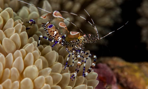 2017 Photo Contest Submissions