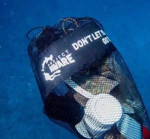 13122917_10154028096841760_6253745002490405189_o