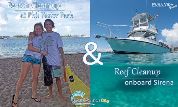 JUNE 10: DIVE & BEACH CLEANUP