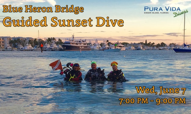JUNE 7 SUNSET DIVE AT BLUE HERON BRIDGE