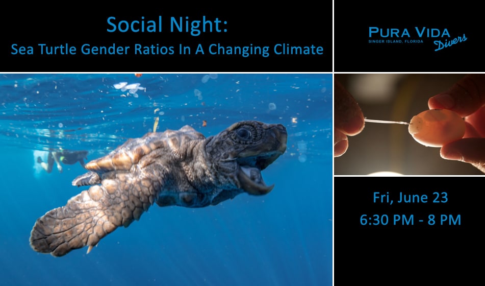 JUNE 23: SOCIAL NIGHT – HATCHLING SEA TURTLE GENDER RATIOS