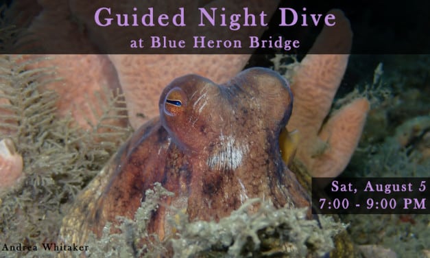 AUGUST 5 GUIDED NIGHT DIVE AT BLUE HERON BRIDGE