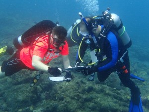 Images provided by FDEP.