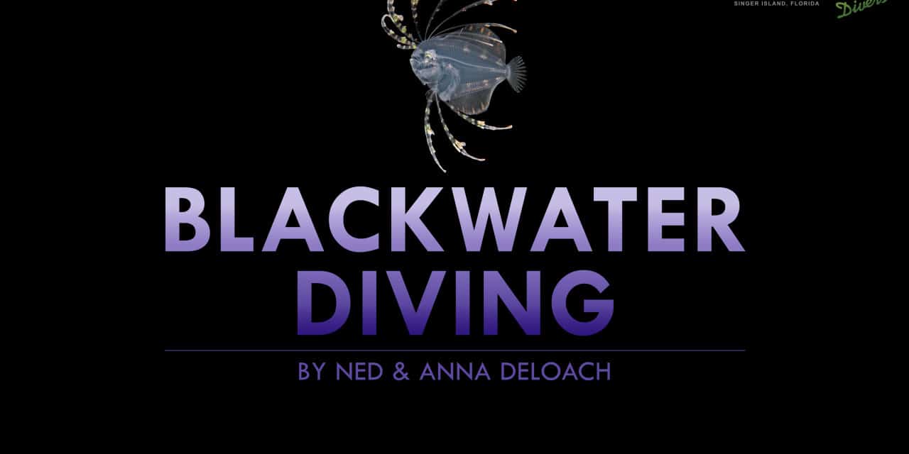 SOCIAL NIGHT: BLACKWATER DIVING BY NED & ANNA DELOACH