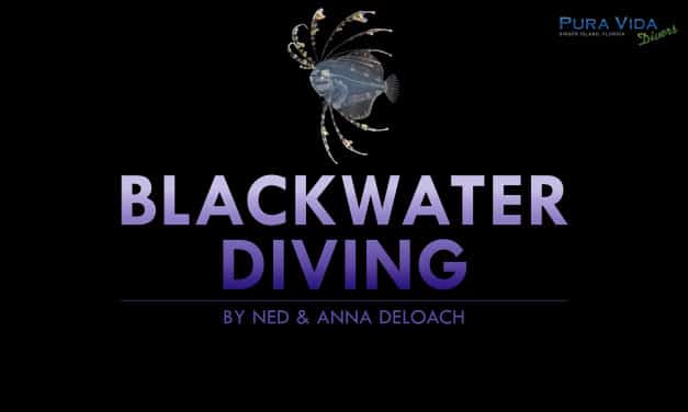 SOCIAL NIGHT: BLACKWATER DIVING BY NED & ANNA DELOACH