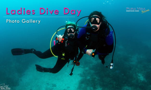 LADIES DIVE DAY PHOTO GALLERY