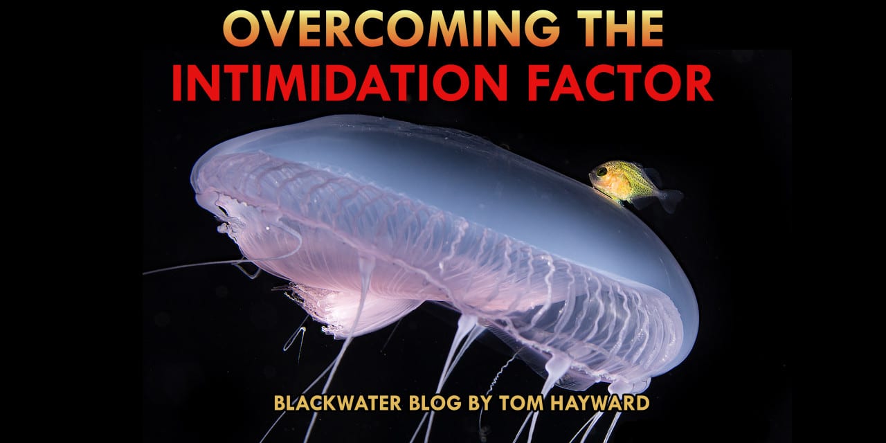 OVERCOMING THE INTIMIDATION FACTOR: BLACKWATER DIVING