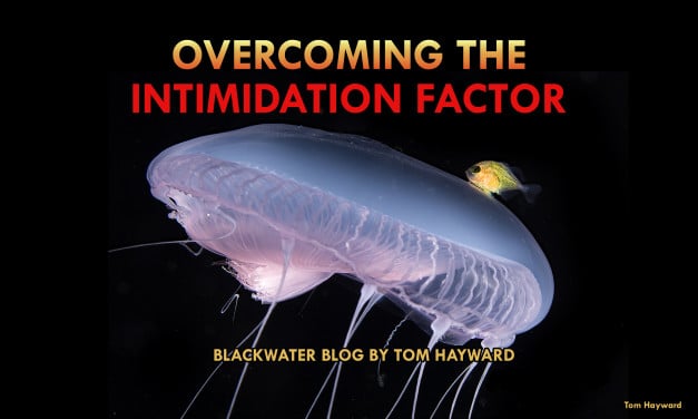 OVERCOMING THE INTIMIDATION FACTOR: BLACKWATER DIVING