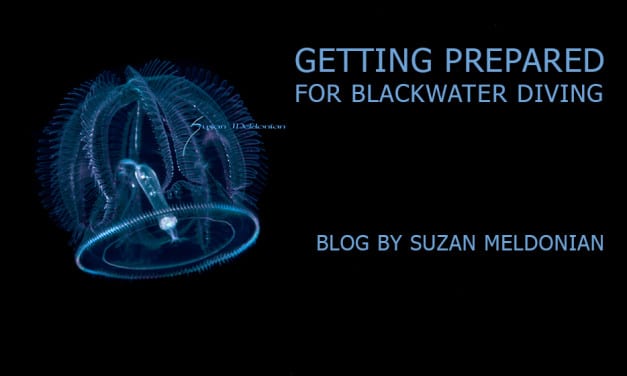 BLACKWATER DIVING: GETTING PREPARED