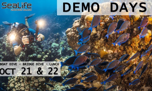 OCT 21 & 22: SEALIFE CAMERA DEMO