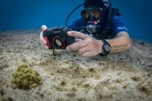 chase_darnell_photography_SeaLifePromo-28