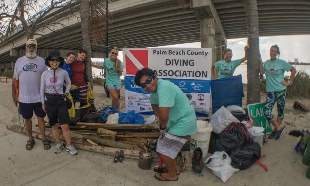 Cleanup Removes 500 lbs of Debris from Blue Heron Bridge