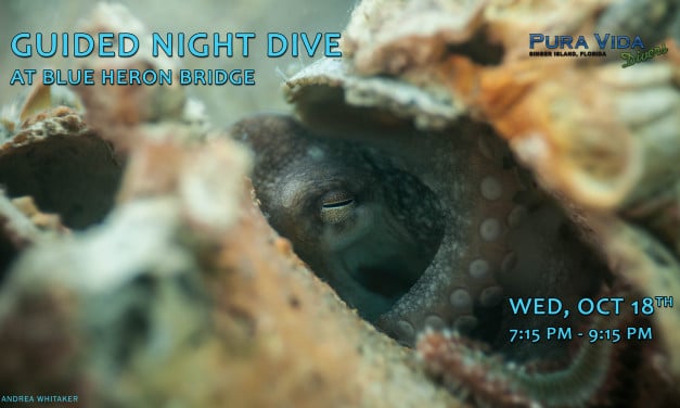 OCT 18: GUIDED NIGHT DIVE AT BLUE HERON BRIDGE