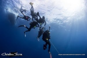 17425131_10155045754222225_6745388673918907827_n