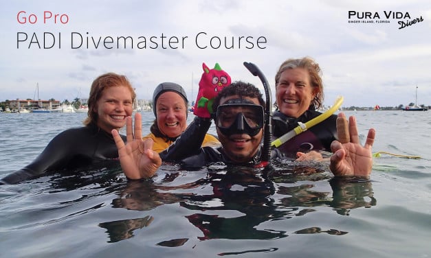 DIVEMASTER COURSE