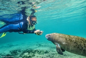 20150225Crystal River 3 Sisters UW_KWM58410134 CROP & SIG