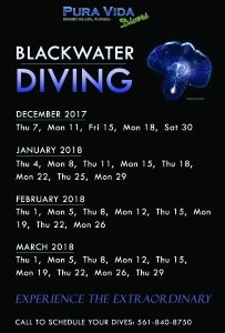 2018 Blackwater Dates