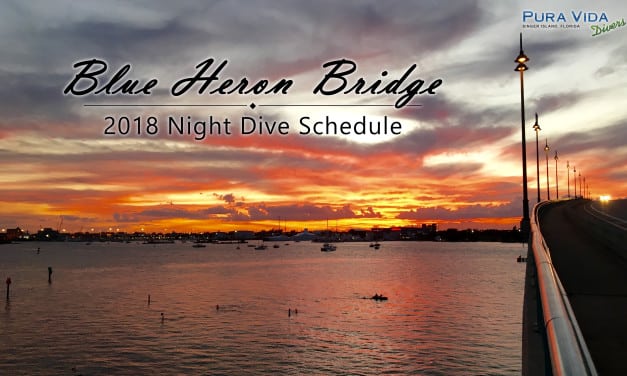 2018 BLUE HERON BRIDGE NIGHT DIVE SCHEDULE