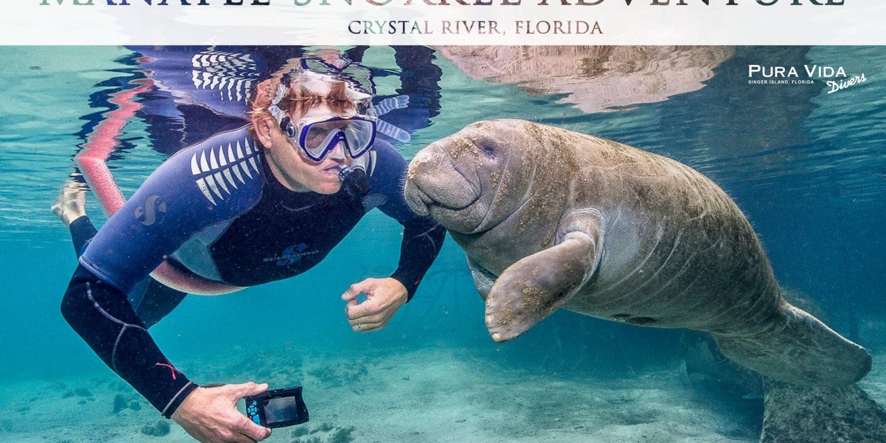 2018 Manatee Snorkel Adventure