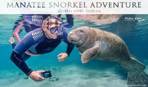2018 Manatee Snorkel Adventure
