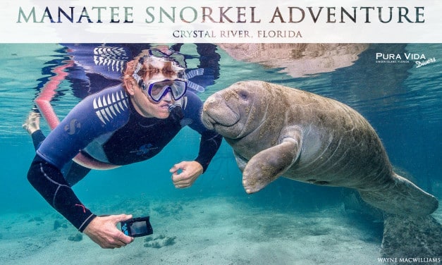 2018 Manatee Snorkel Adventure
