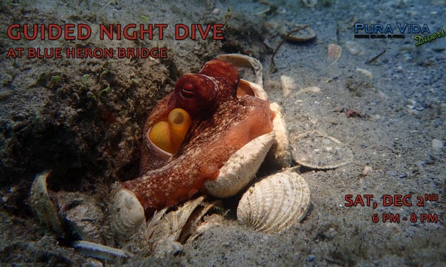 DEC 2: GUIDED NIGHT DIVE AT BLUE HERON BRIDGE