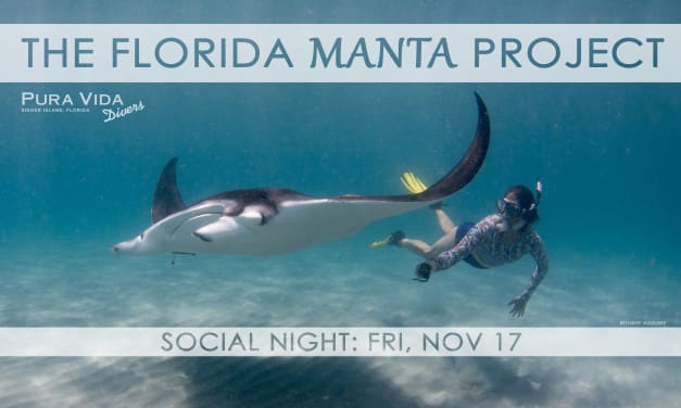 SOCIAL NIGHT: THE FLORIDA MANTA PROJECT