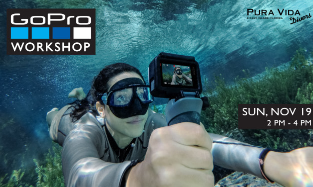 NOV 19: GOPRO WORKSHOP