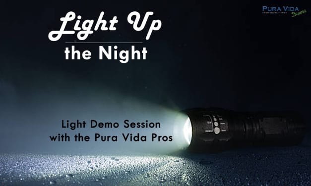 NOV 12: LIGHT DEMO AND Q&A