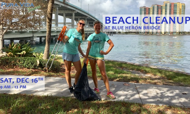 DEC 16: BLUE HERON BRIDGE CLEANUP