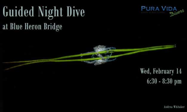 FEB 14: GUIDED NIGHT DIVE AT BLUE HERON BRIDGE