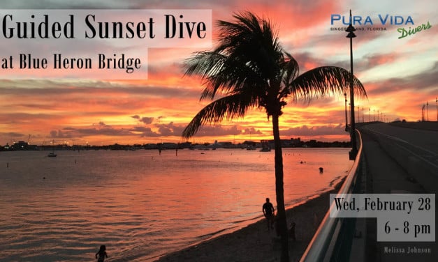 FEB 28: GUIDED SUNSET DIVE AT BLUE HERON BRIDGE