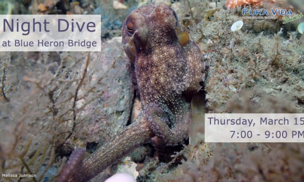MARCH 15: GUIDED NIGHT DIVE AT BLUE HERON BRIDGE