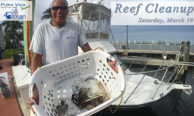 MARCH 10: REEF CLEANUP
