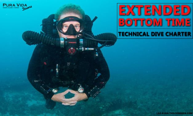 APRIL 8: EXTENDED BOTTOM TIME TECH CHARTER
