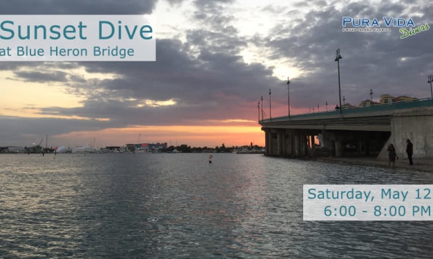 MAY 12: GUIDED SUNSET DIVE AT BLUE HERON BRIDGE